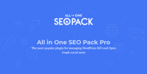 All in One SEO Pack Pro.png